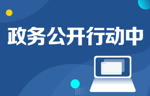 政务公开行动中