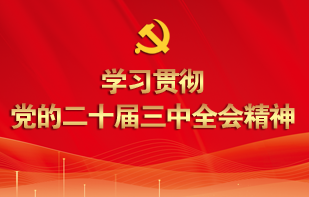 学习贯彻党的二十届三中全会精神