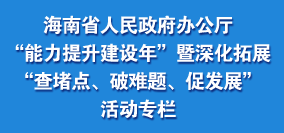“能力提升建设年”暨深化拓展“查堵点、破难题、促发展”活动专栏
